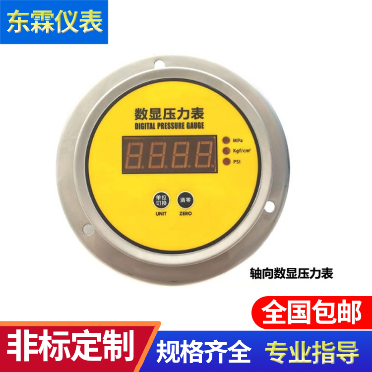 標準數(shù)字壓力表