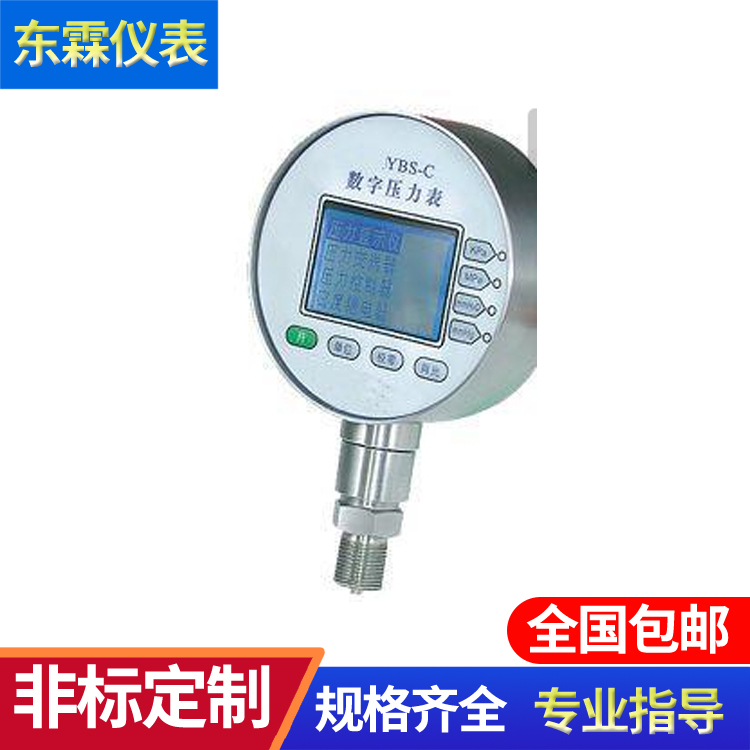 485通訊數(shù)字壓力表