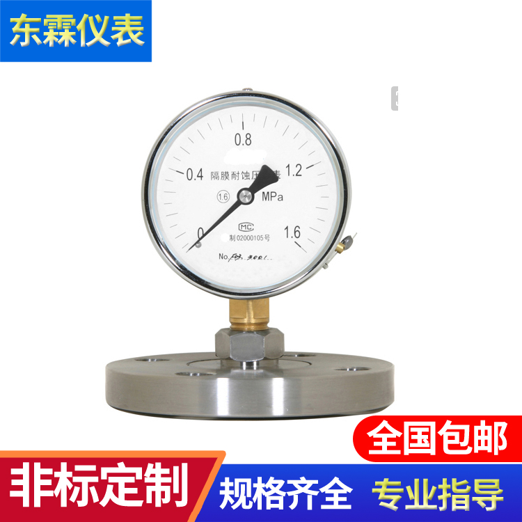 法蘭式膜片壓力表