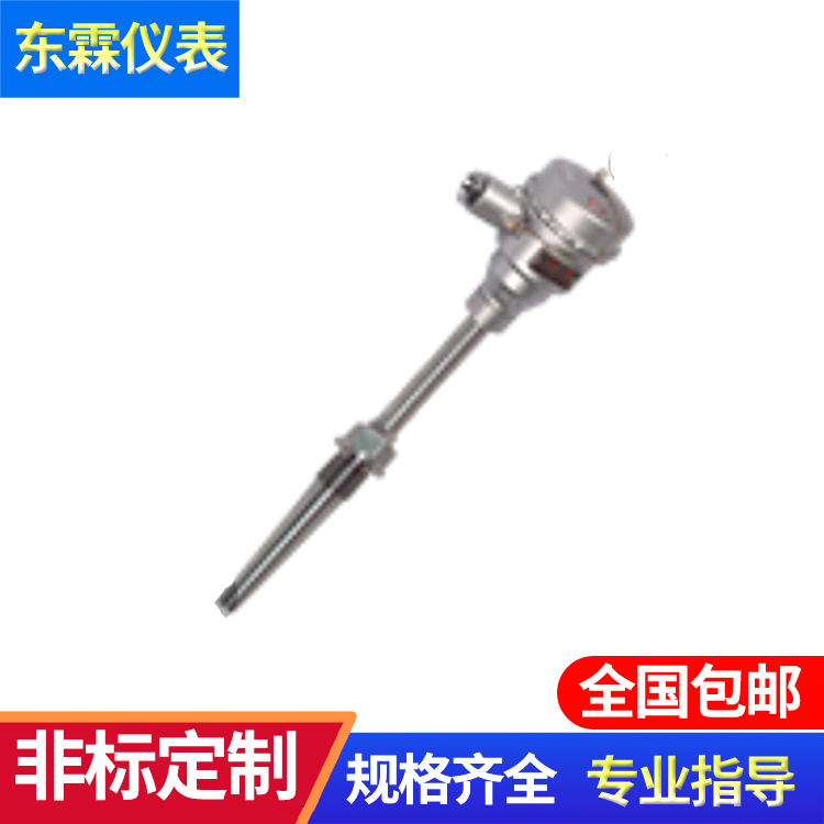 WZP-240 防爆熱電阻