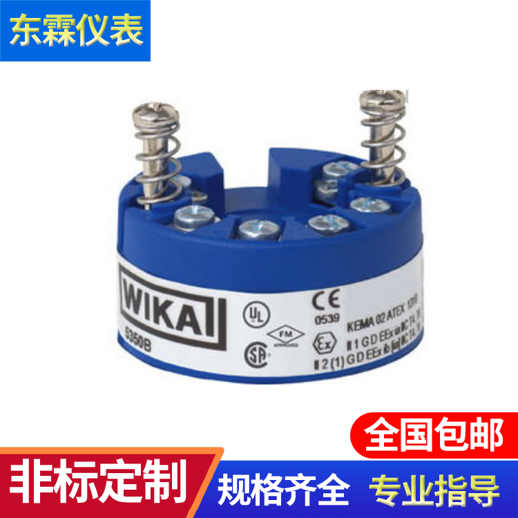 一體化數(shù)顯溫度 變送器熱電偶